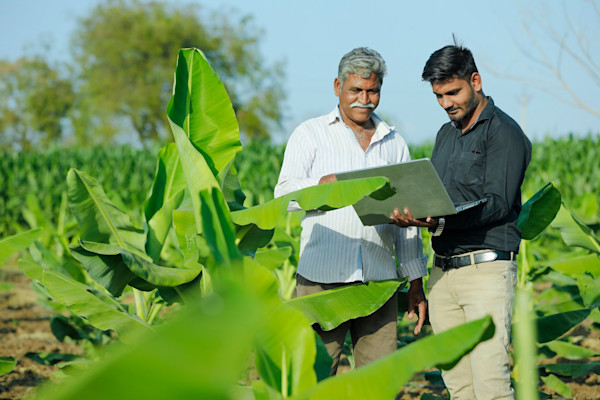 Nature meets numbers: How BS ISO 14054:2025 is redefining the value of the planet
