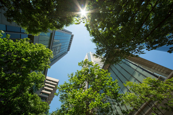 Introducing PAS 7342: A new benchmark for sustainable investment funds