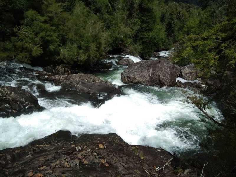 Cascade du parc Alerce Andino