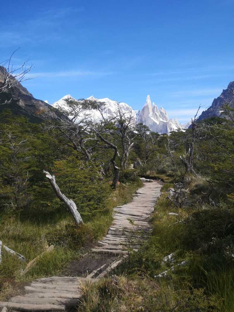 Sentier de randonnée pour aller au Cerro Torre