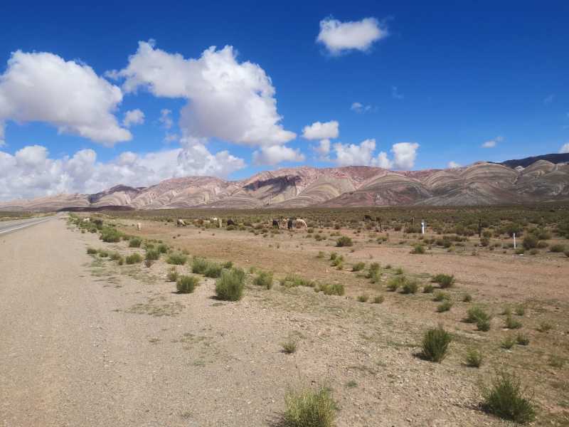 Sur la route vers Tres Cruces