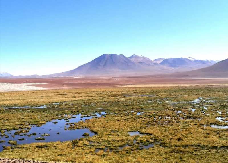 Vue sur les volcans