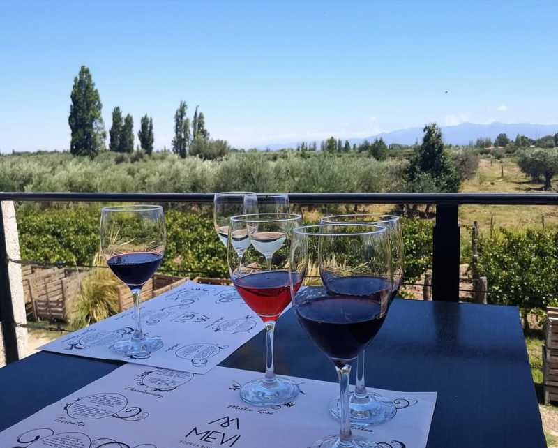 Dégustation de vins dans la bodega de Mevi !