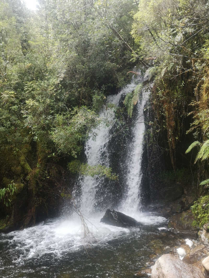 Petite cascade du parc Alerce Andino