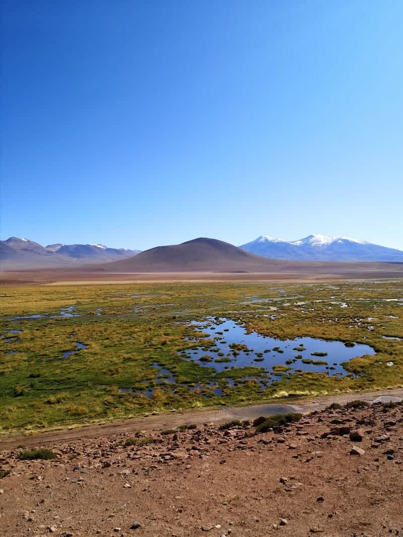 Vue sur les volcans