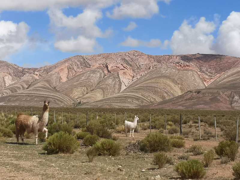 Belle vue sur les montagnes de Tres Cruces