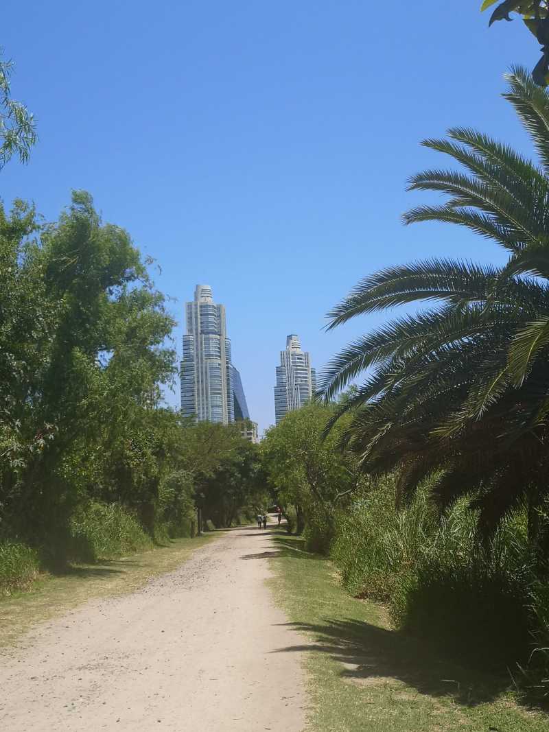 Vue des buildings depuis un parc