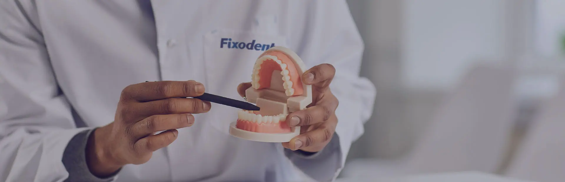 Un dentiste montre, à l'aide d'un ensemble de prothèses dentaires, pourquoi Fixodent est la meilleure des fixations pour les prothèses dentaires.