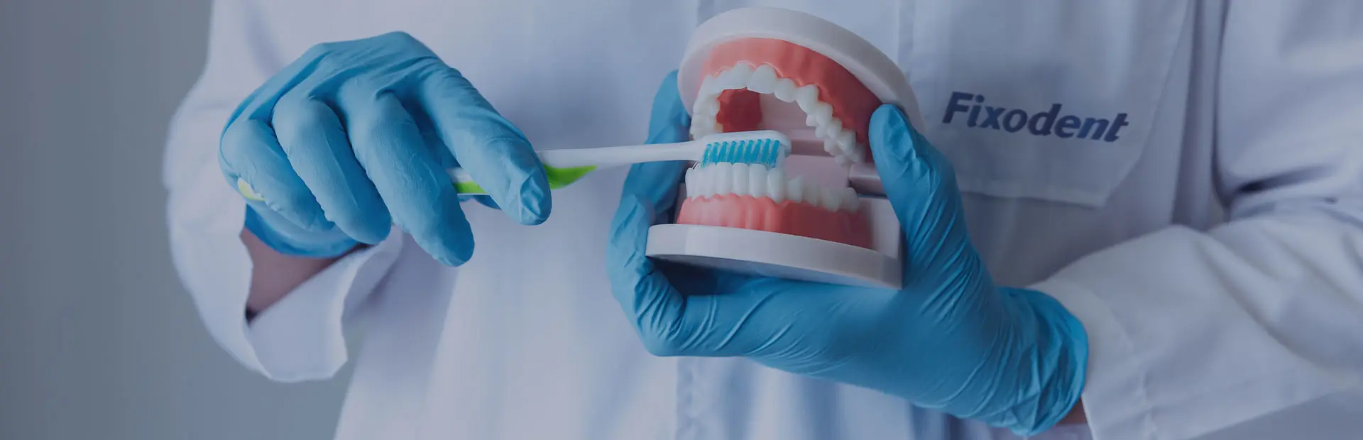 Un technicien dentaire tient dans ses mains une prothèse dentaire amovible et explique avec quels matériaux elles sont faites.