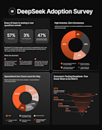 DeepSeek Adoption Survey and Infographic