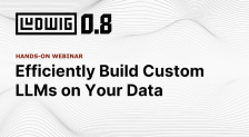 Efficiently Build Custom LLMs on Your Data with Open-source Ludwig