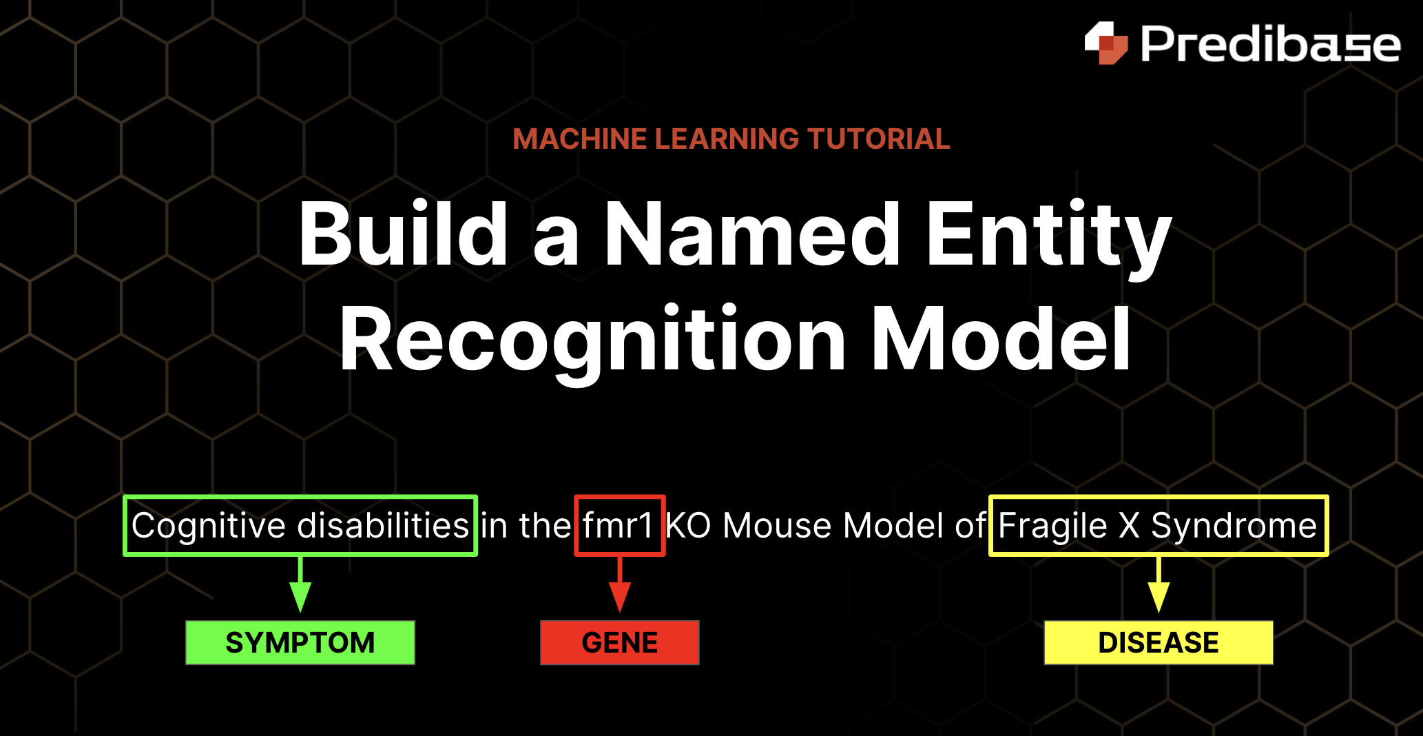 Named Entity Recognition Blog tile