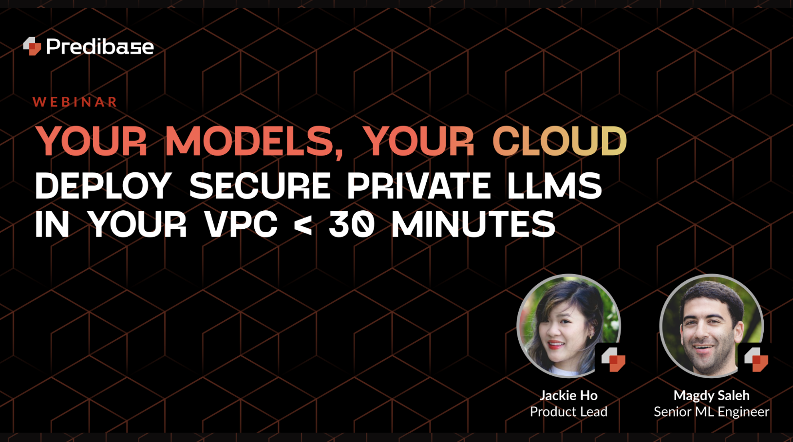 Your Models, Your Cloud: Secure LLMs in Your VPC