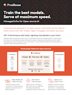 Solution Guide: Developer Platform for Productionizing Open-source AI