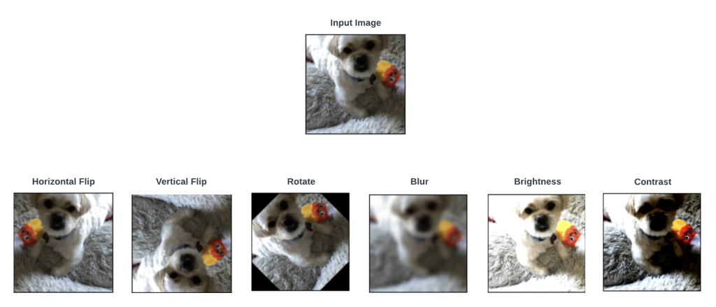 Image augmentation in Ludwig 0.7 makes it easy to artificially increase the size of training datasets.