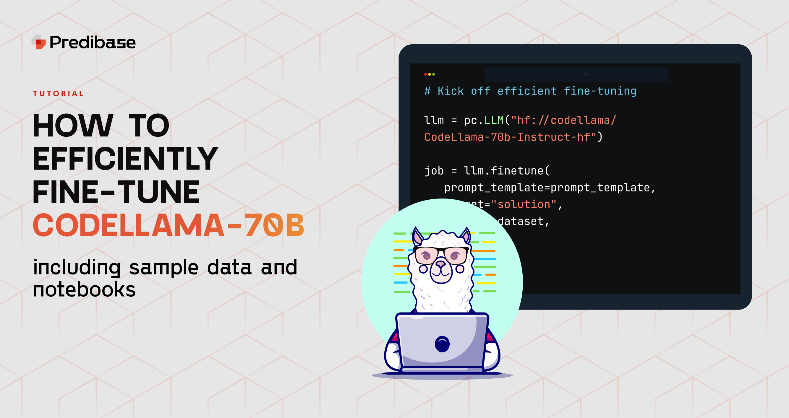 How To Efficiently Fine-Tune CodeLlama-70B-Instruct With Predibase ...