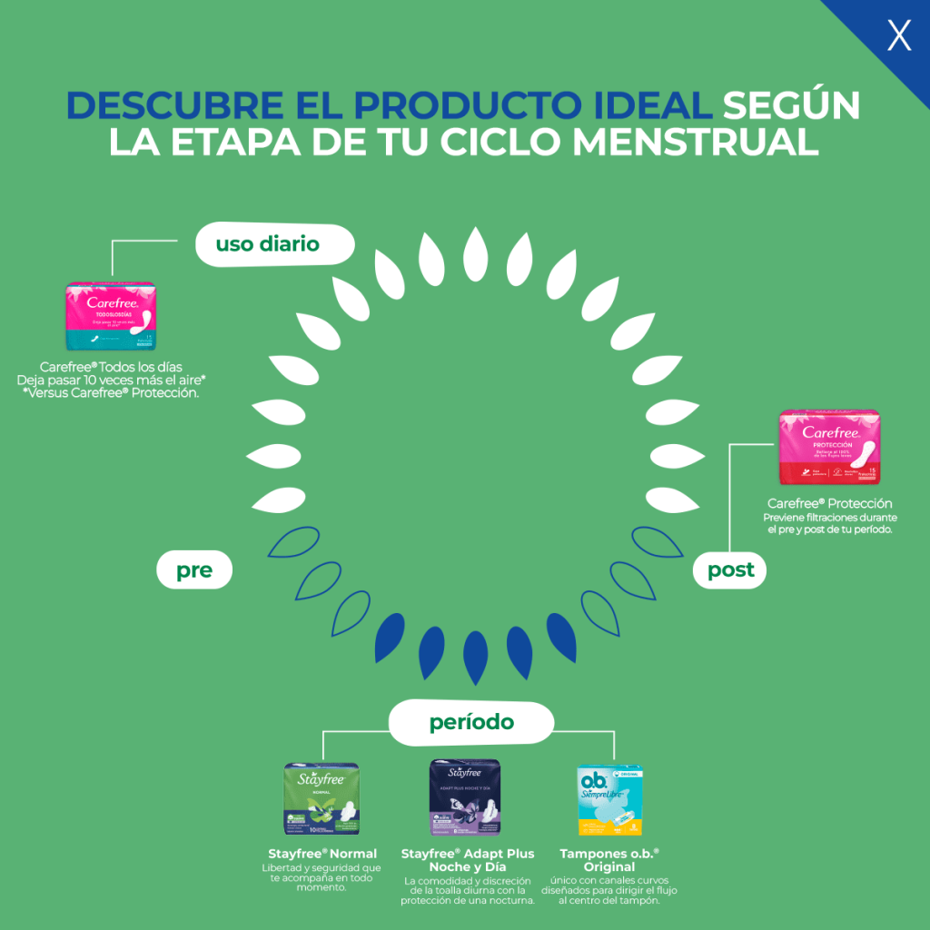 Ciclo menstrual