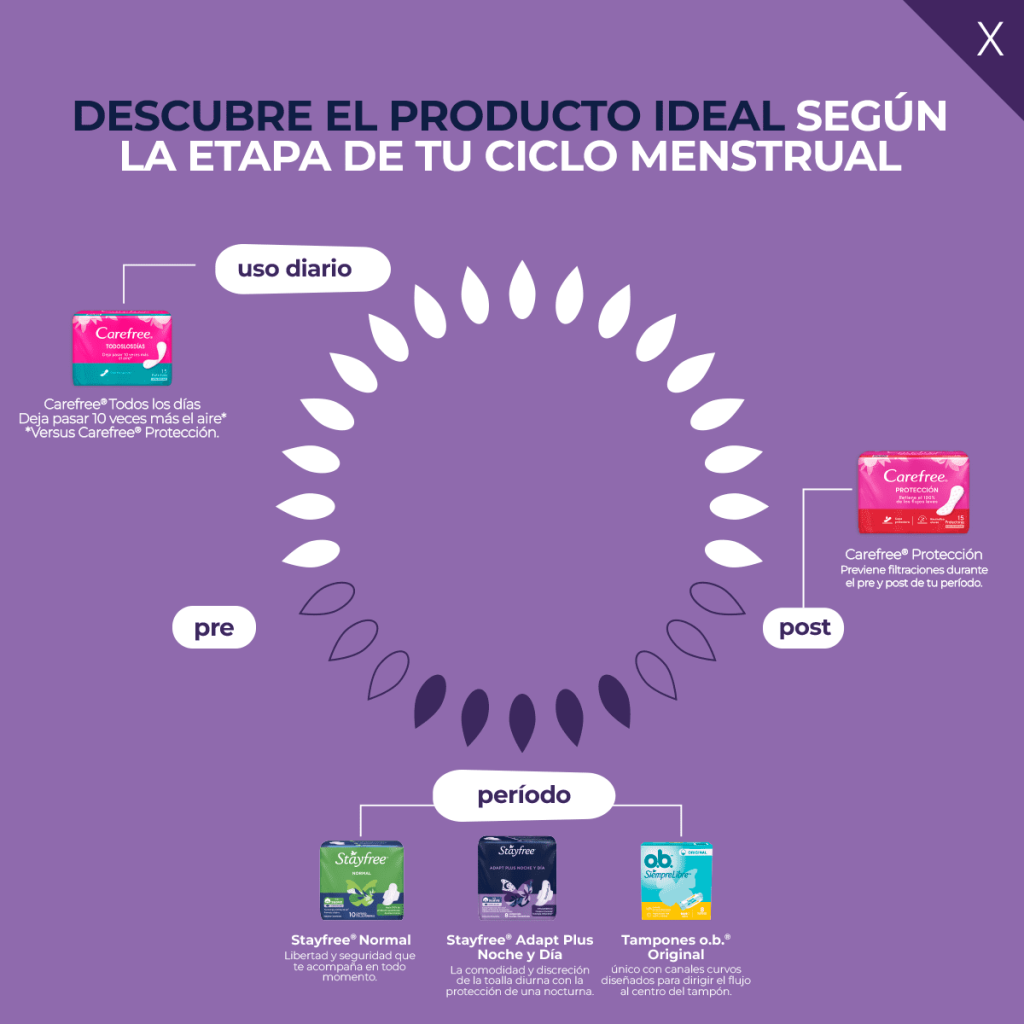 Ciclo menstrua