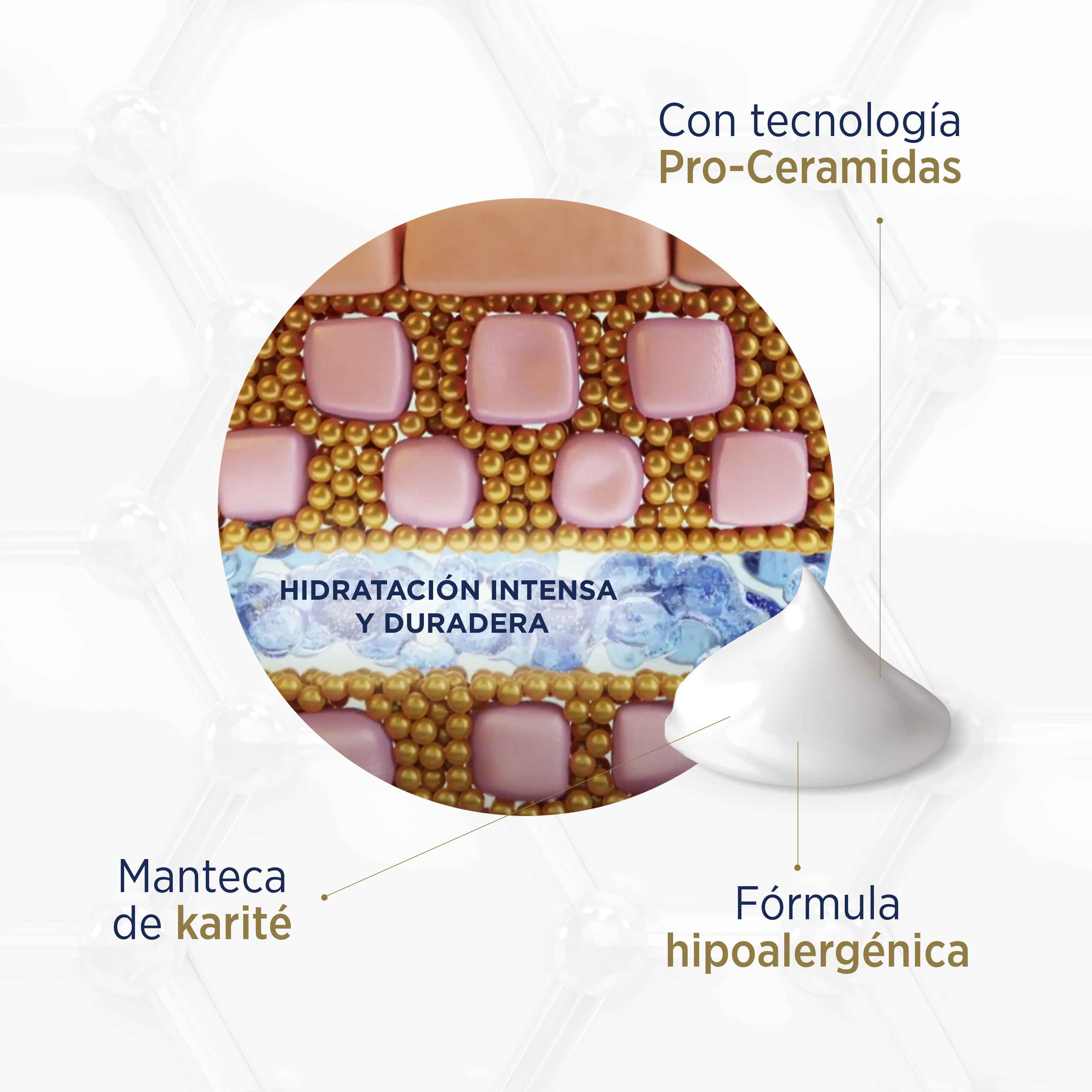 LUBRIDERM® REPARACIÓN INTENSIVA TAPA DORADA - Formula