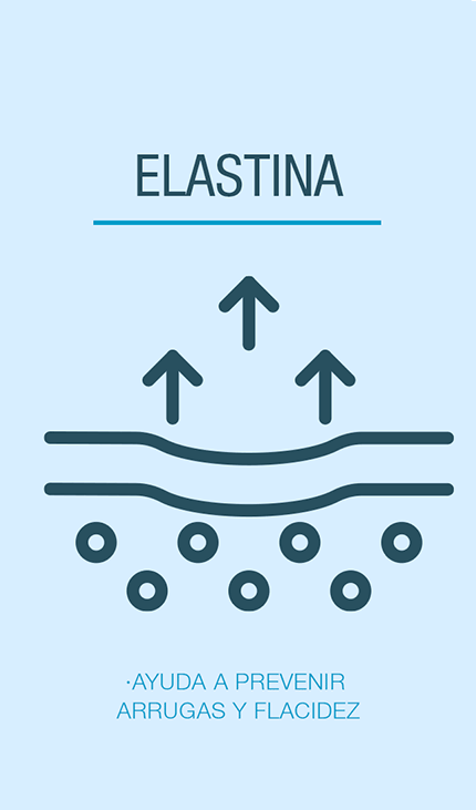 Elastina