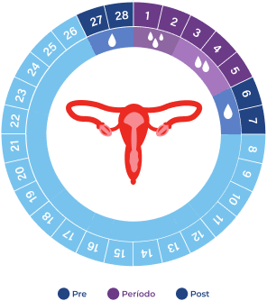 Calendario menstrual