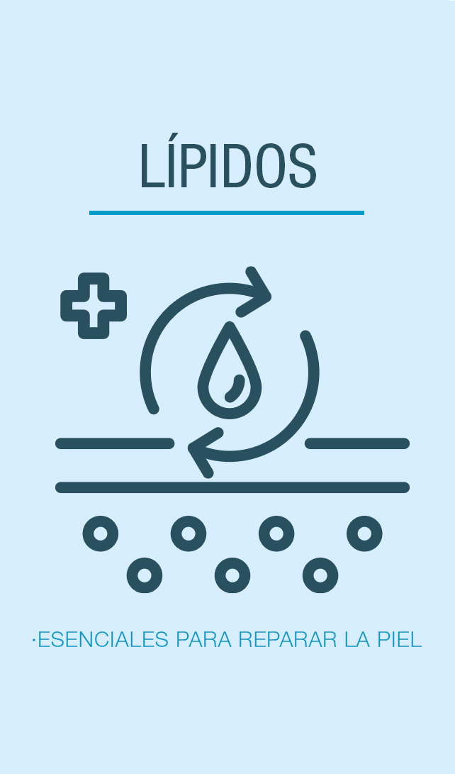 lipidos-es-co