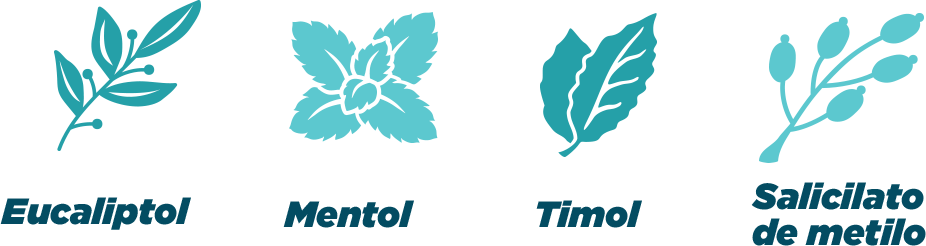 ¿Cuál es la composición de LISTERINE ® ? - Image - Listerine - es-CO