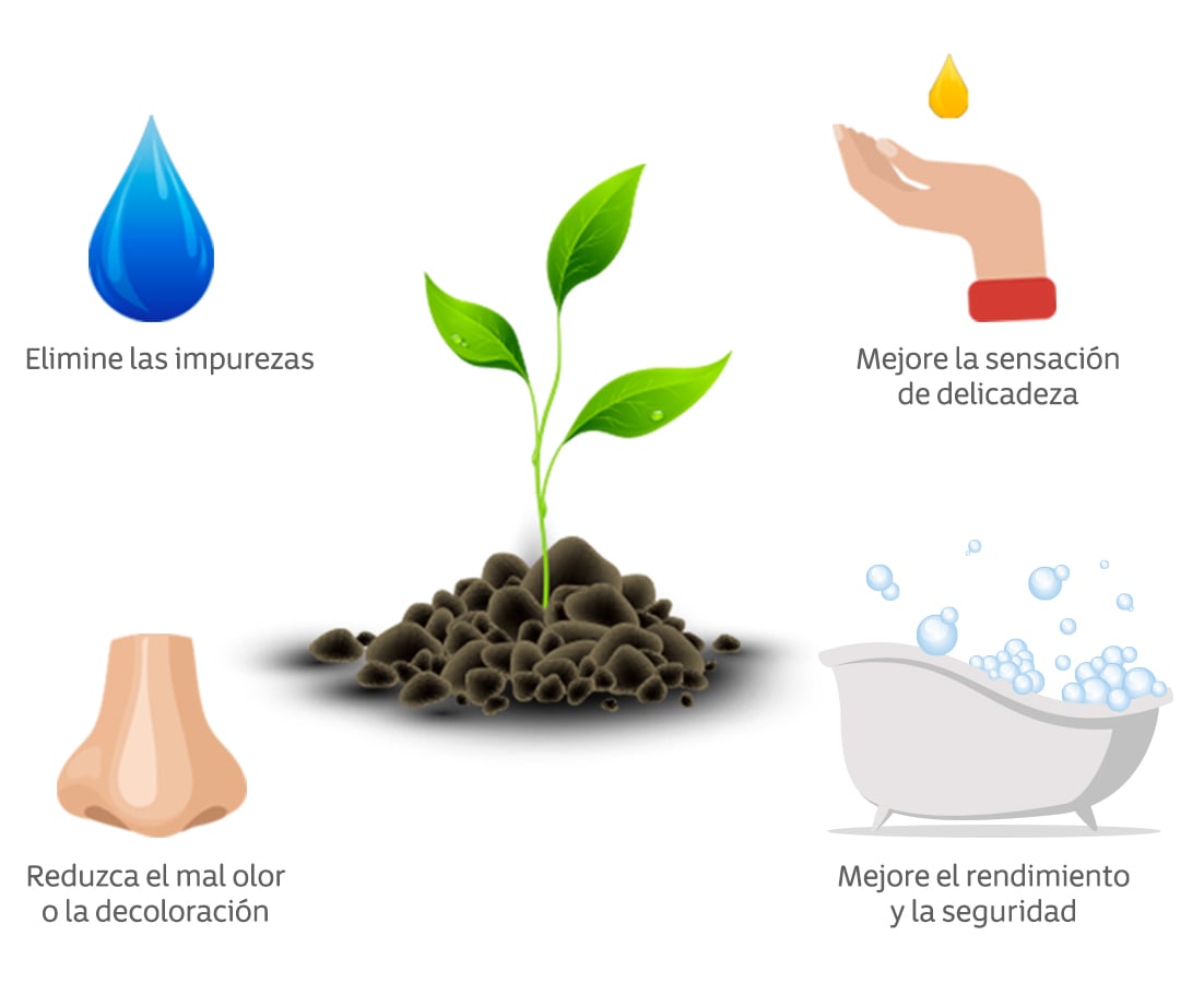 Infografia ingredientes naturales