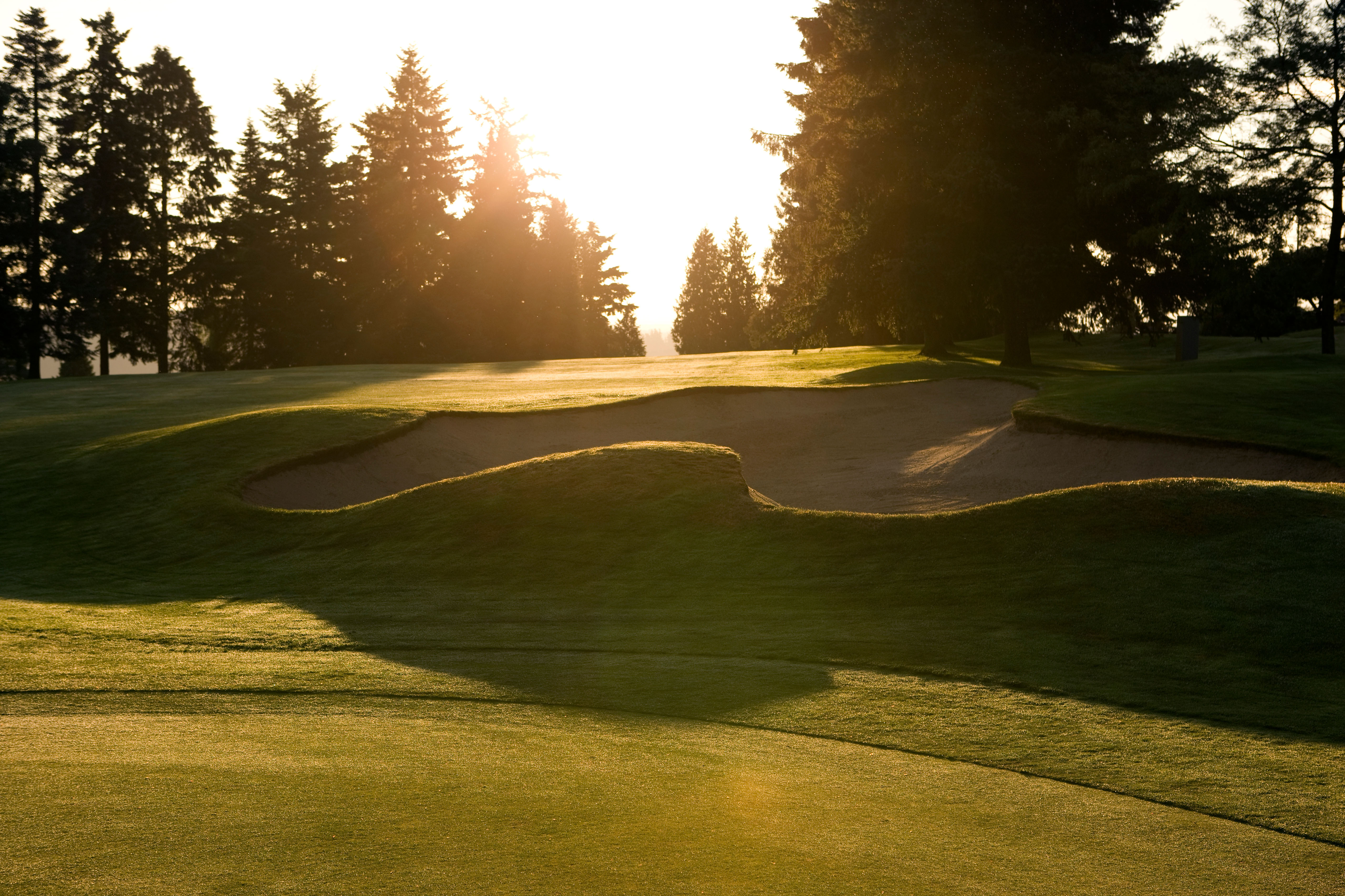 What is Sandbox Wealth Cover Photo (Bunker on a golf course)