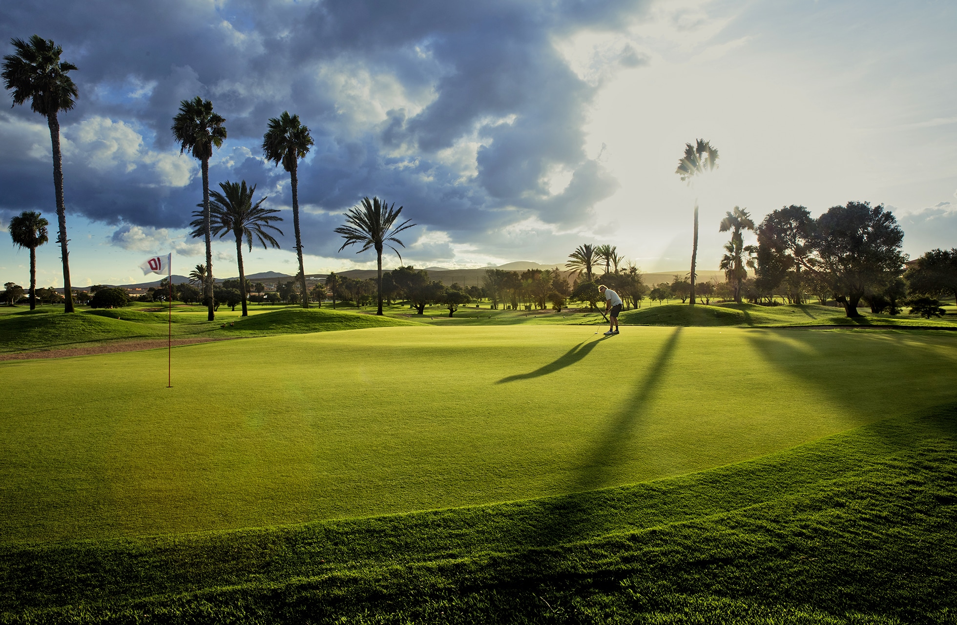 golfgreen på fuerteventura golf med flagg, palmer og lange skygger i åpent parklandskap i dramatisk kveldslys