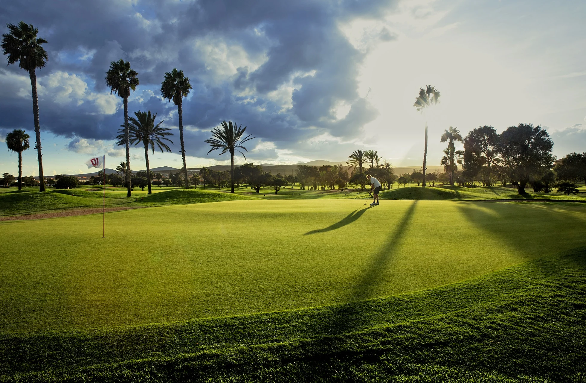 golfgreen på fuerteventura golf med flagg, palmer og lange skygger i åpent parklandskap i dramatisk kveldslys