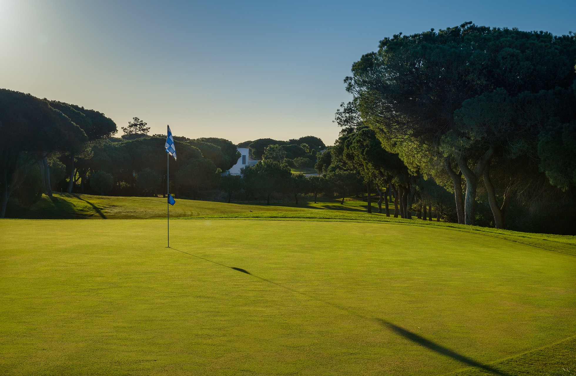 green med blått flagg i kveldslys, omgitt av pinjetrær og myke åser på vila sol golfbane.