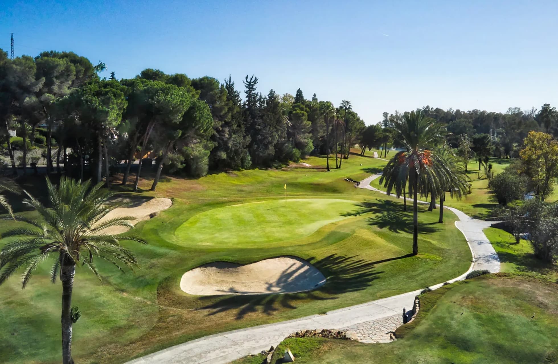 golfgreen med flagg i parklandskap på el paraiso golf, omgitt av fairway, bunker, palmer og trær i klart dagslys