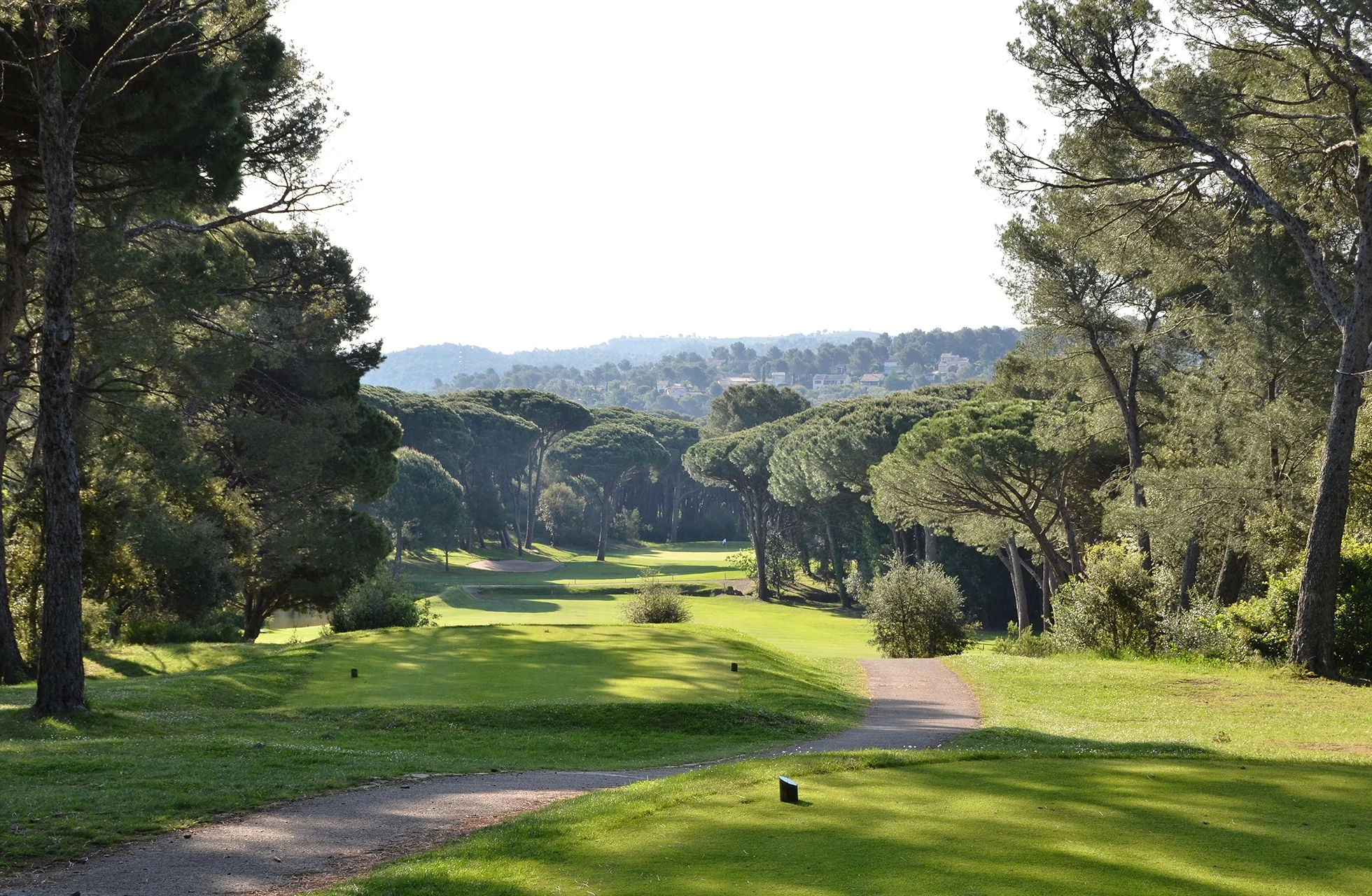 grønn golfbane med smal fairway som slynger seg gjennom et åpent landskap med furutrær og myke åser i bakgrunnen