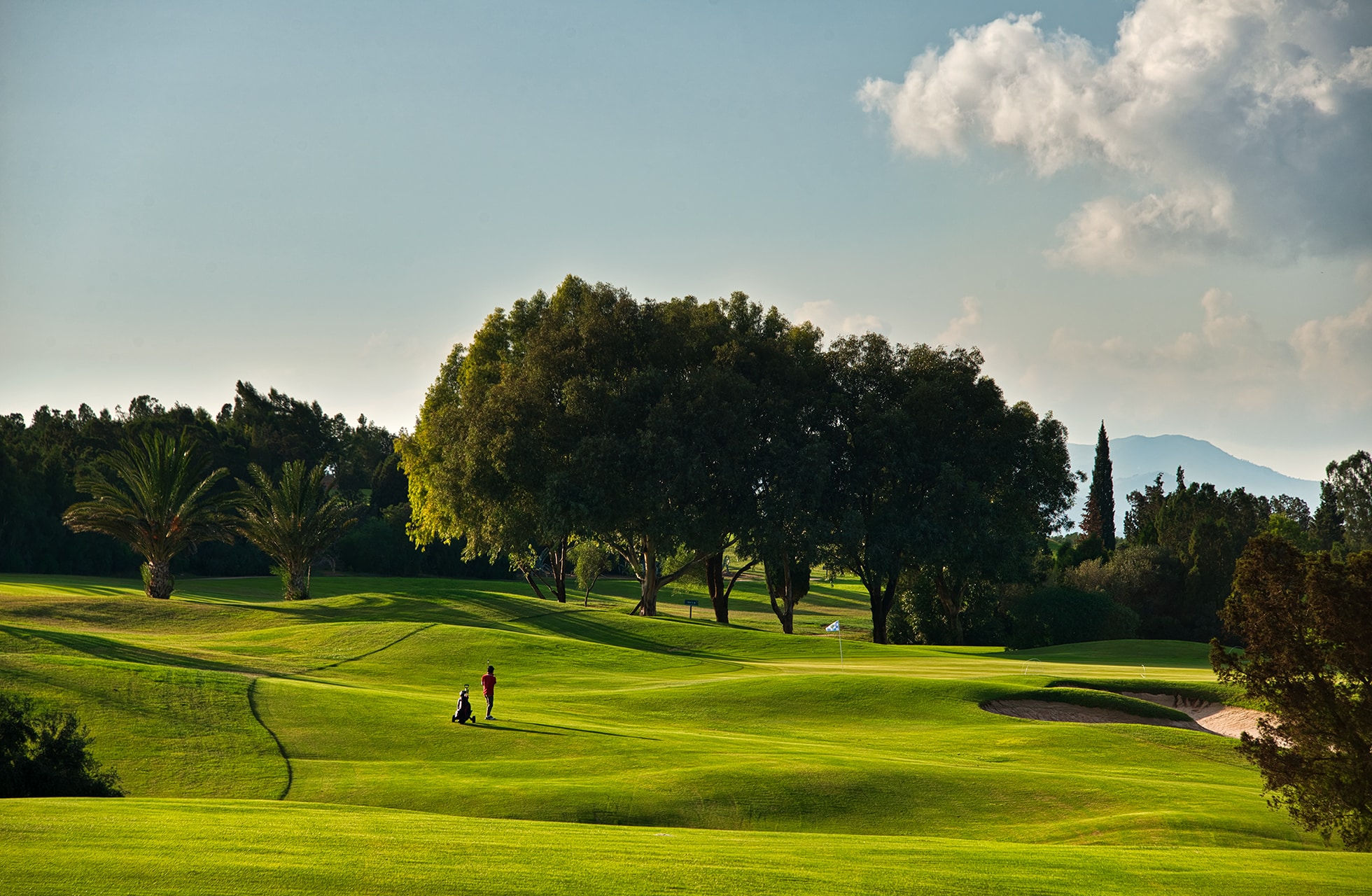 bølgende fairwayer på citrus golf la forêt med trær, sandbunkere og golfspiller i åpent grønt landskap
