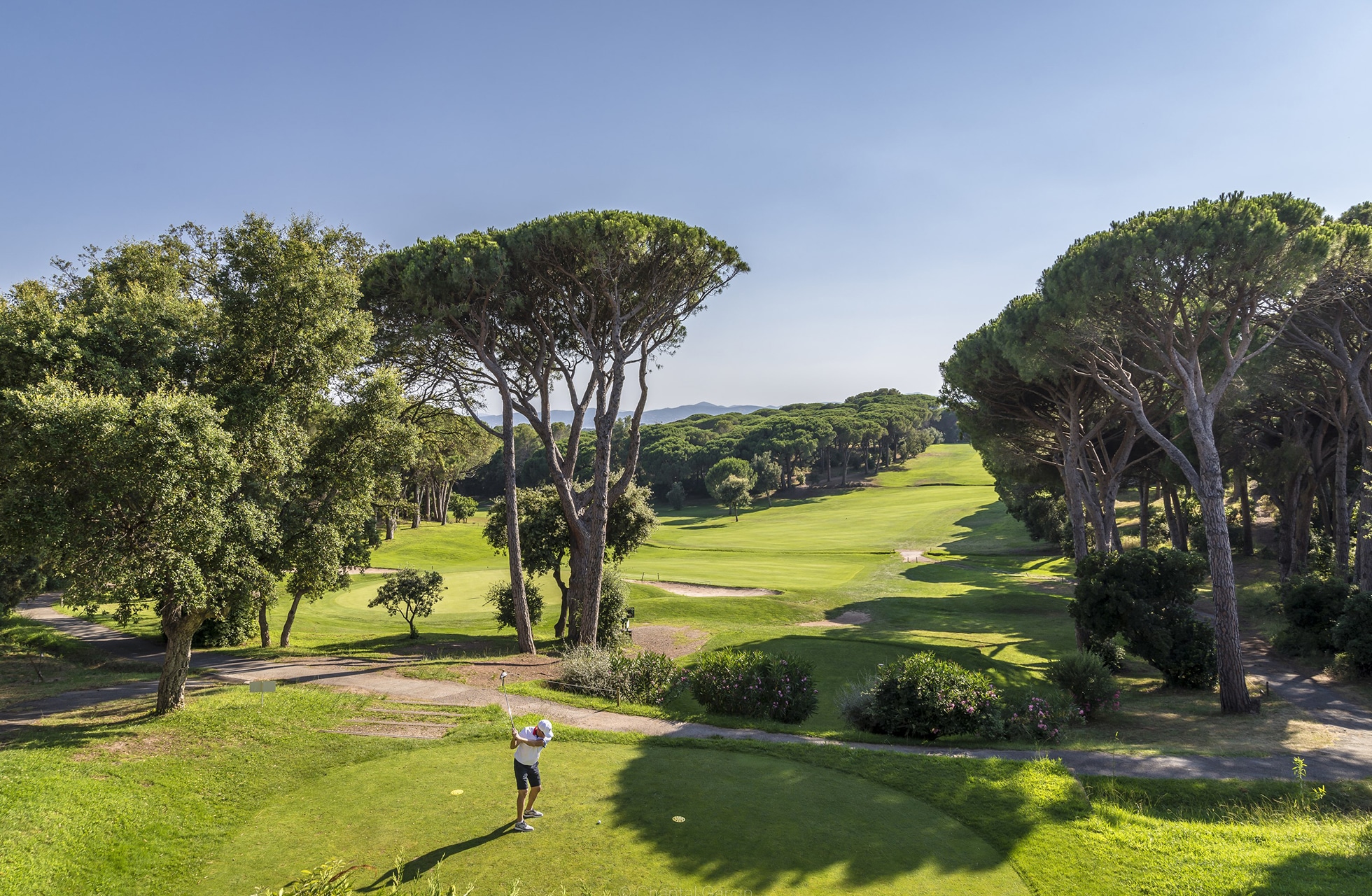 spiller slår ut fra tee på golfbane omgitt av furutrær og bølgende fairway