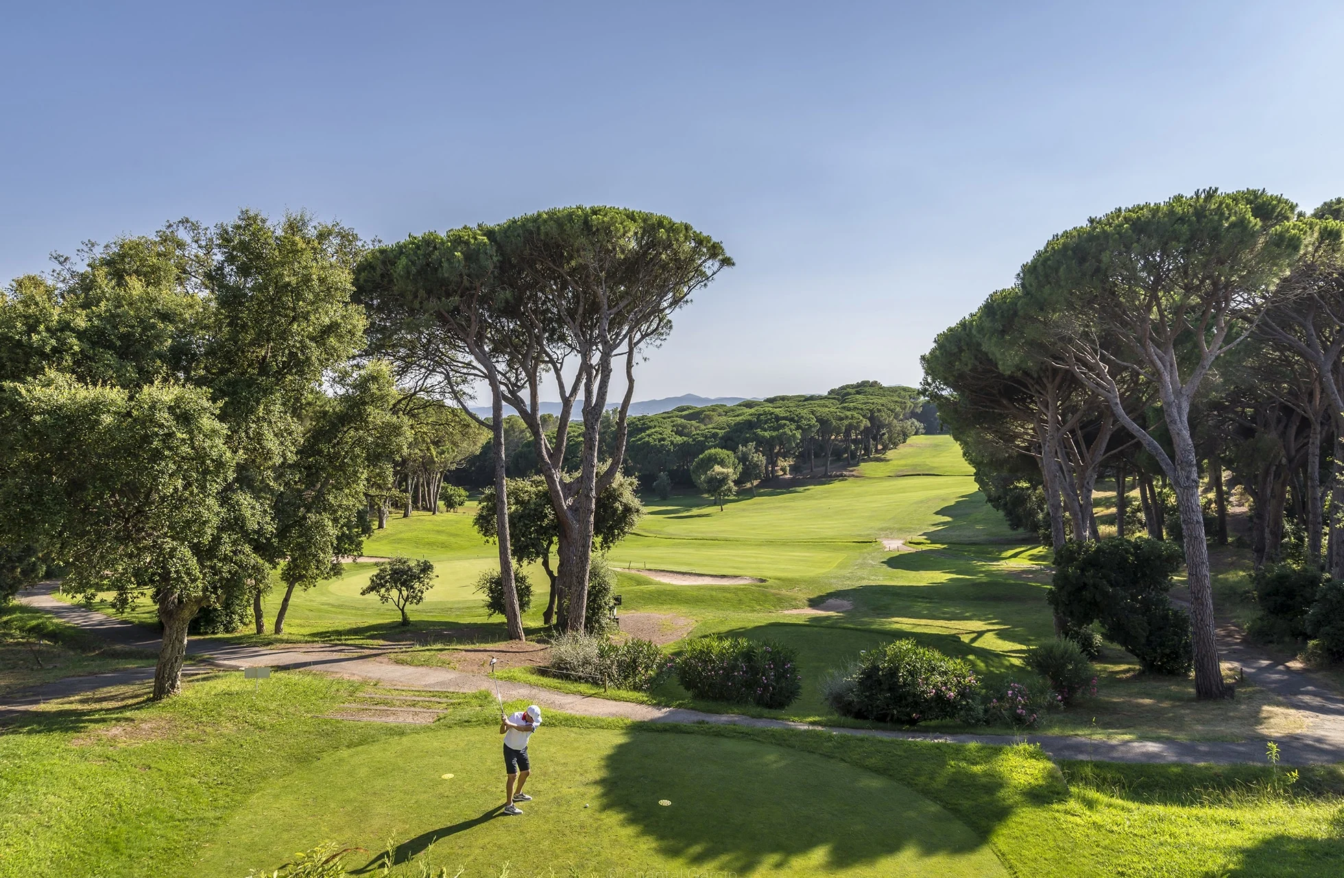 spiller slår ut fra tee på golfbane omgitt av furutrær og bølgende fairway