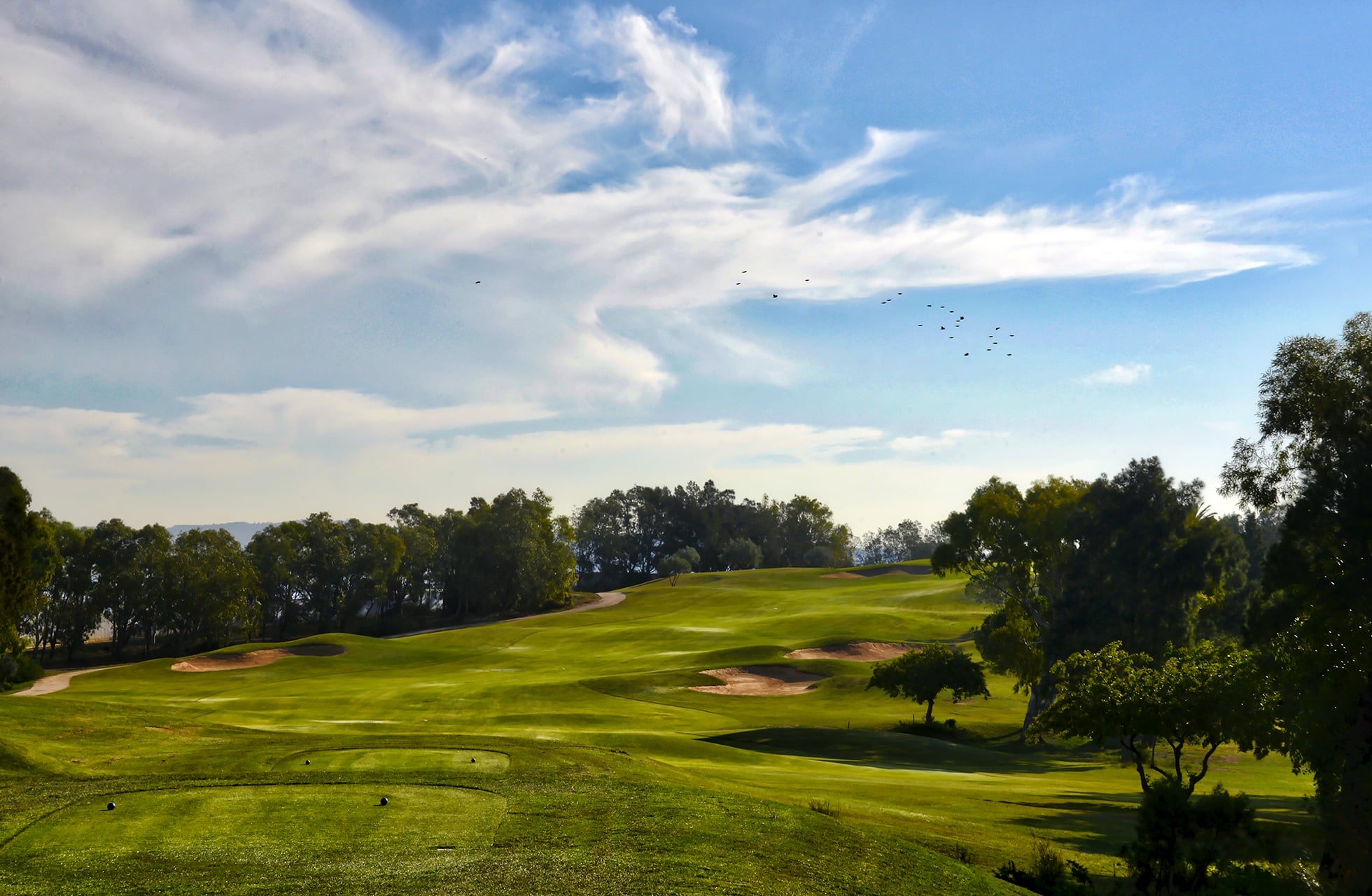 bølgende fairways på citrus golf les oliviers med sandbunkere, træer og åbent landskab under klar himmel