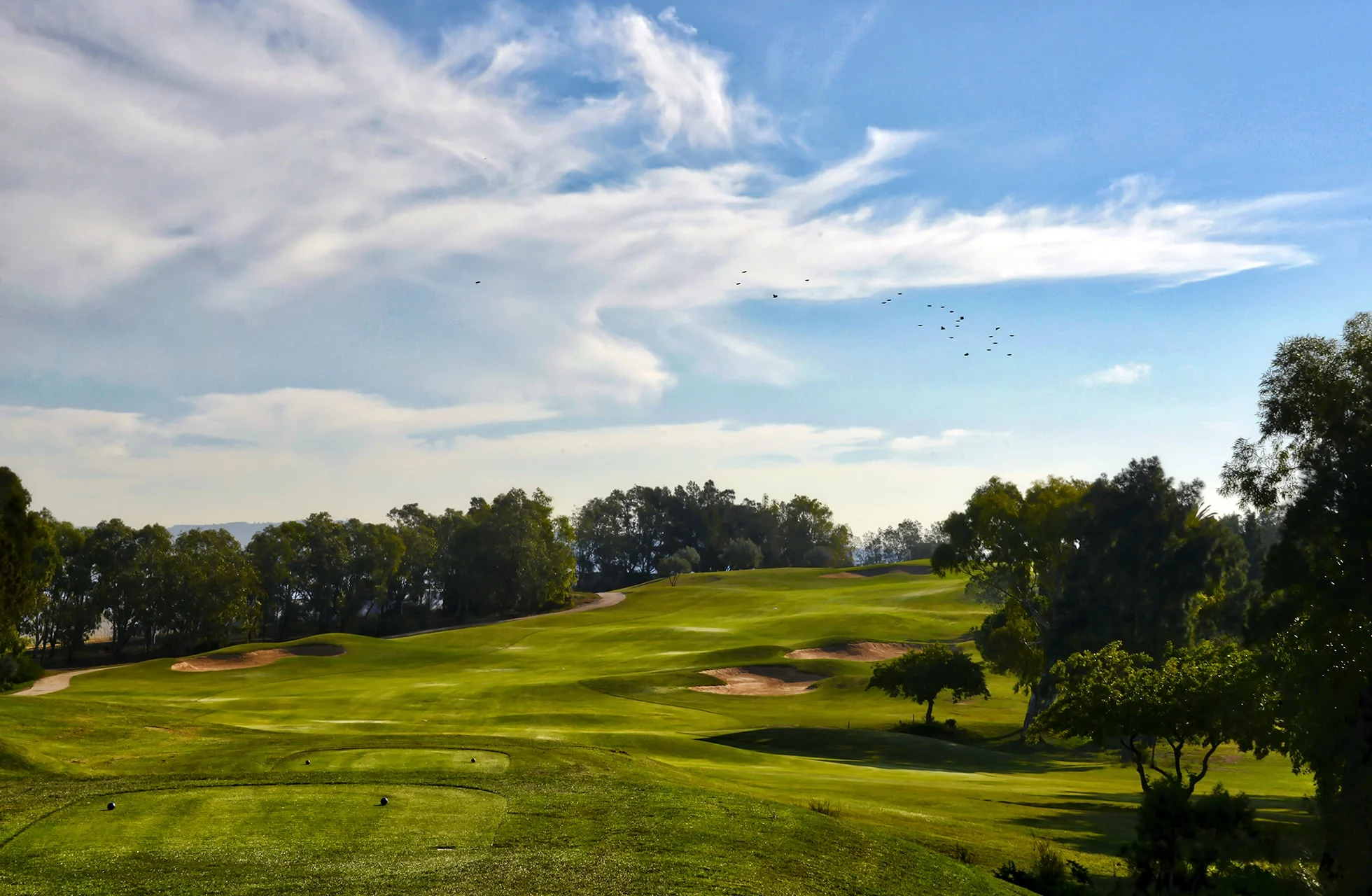 bølgende fairways på citrus golf les oliviers med sandbunkere, træer og åbent landskab under klar himmel