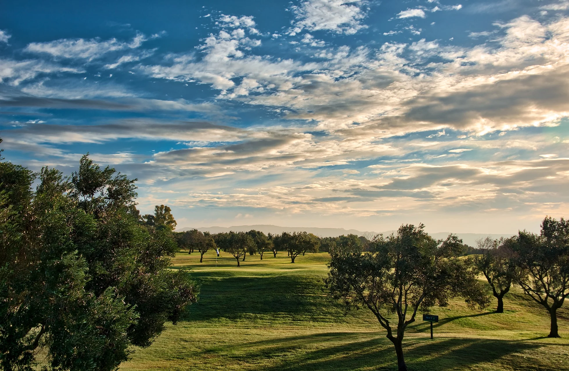 åpent landskap på citrus golf les oliviers med grønne fairwayer, oliventrær og markant himmel