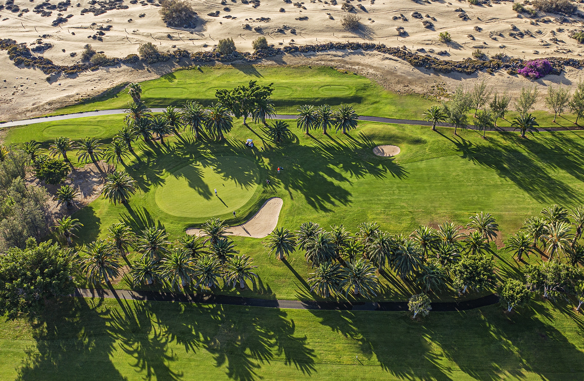 flyfoto av green på maspalomas golf med flere bunkere, palmer og lange skygger, i tydelig kontrast til sanddyner i bakgrunnen i dagslys