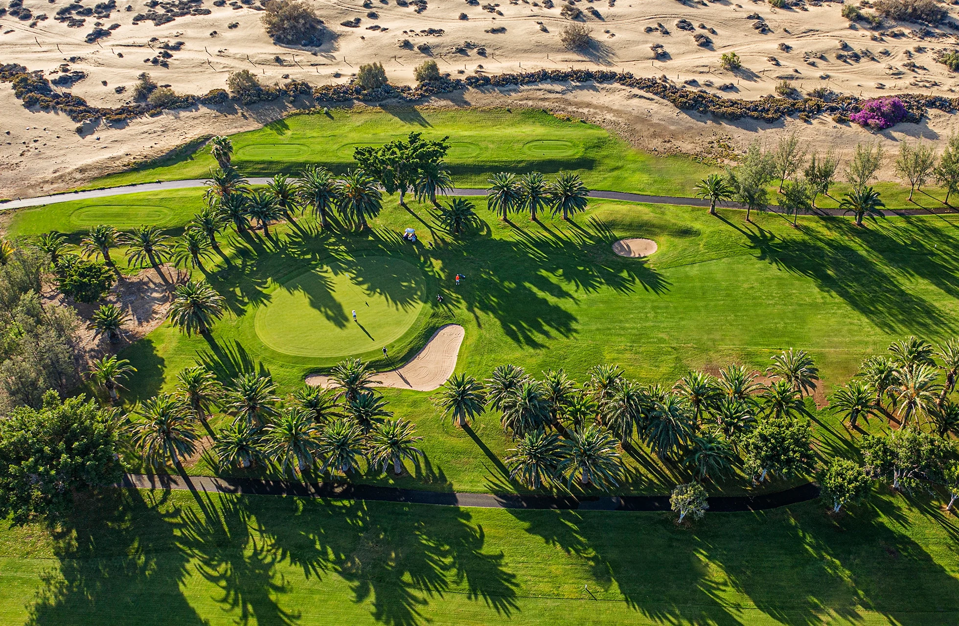 flyfoto av green på maspalomas golf med flere bunkere, palmer og lange skygger, i tydelig kontrast til sanddyner i bakgrunnen i dagslys