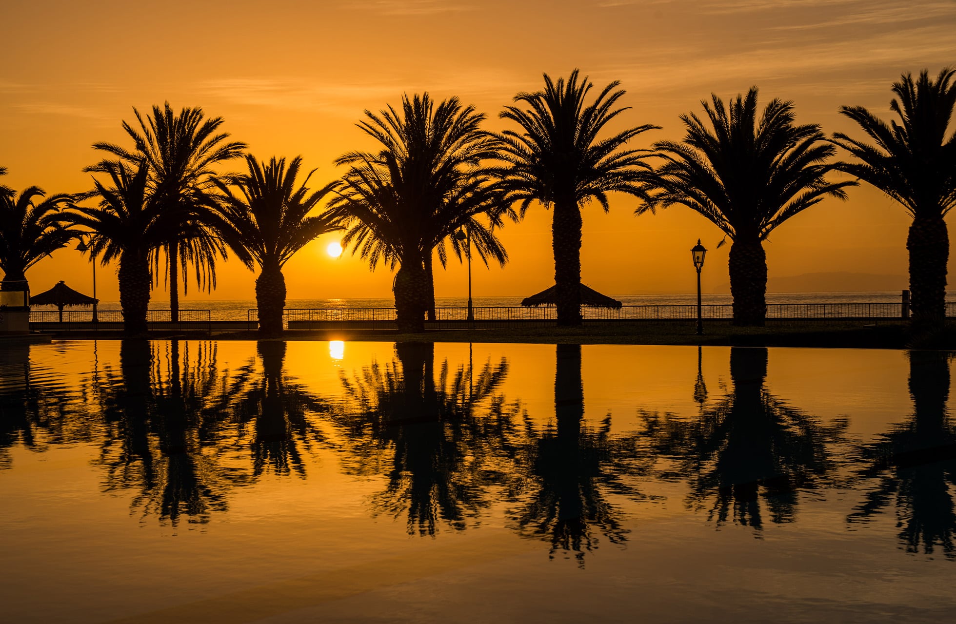 Palmer reflektert i bassenget under en lys oransje solnedgang