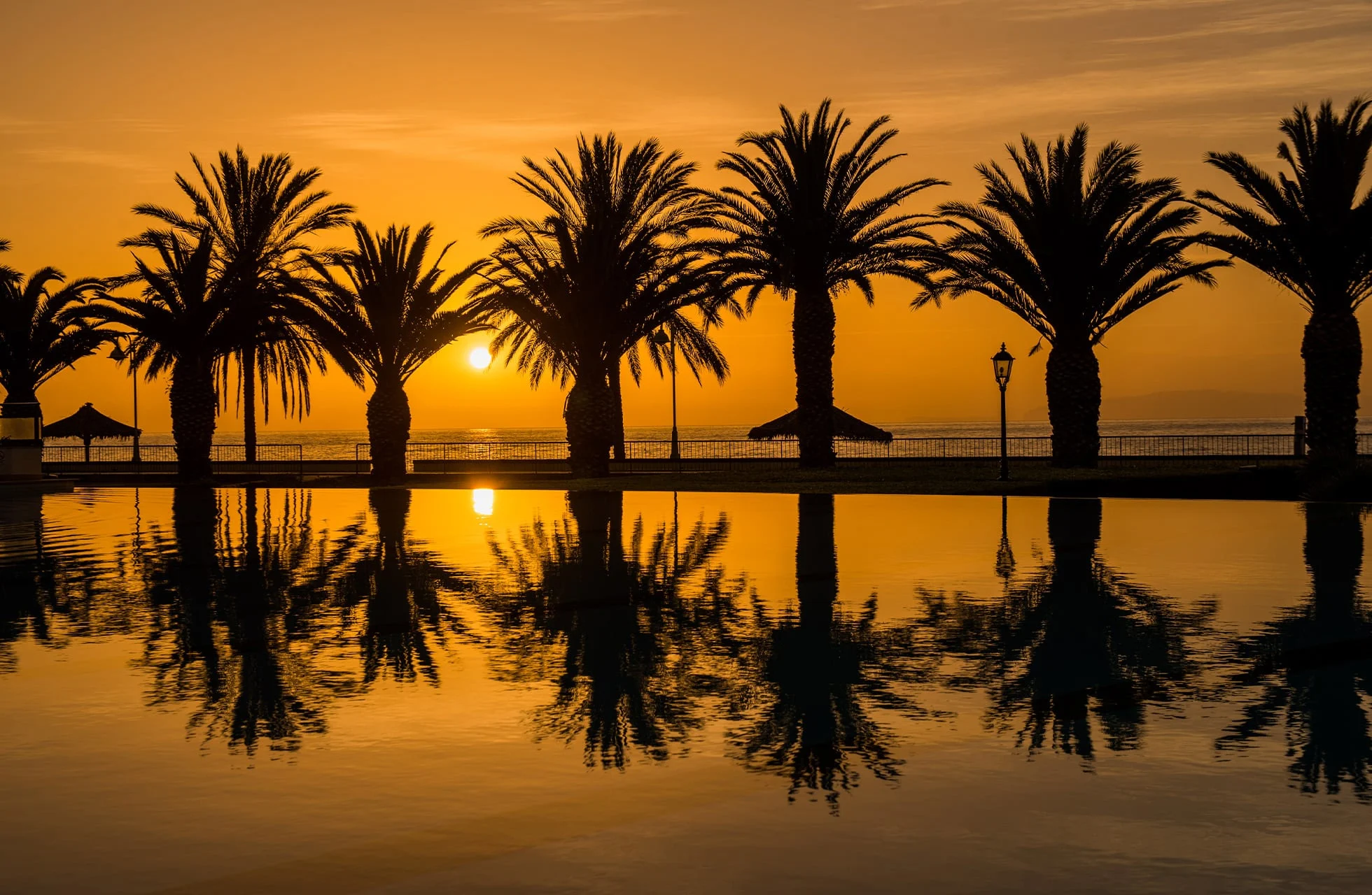 Palmer reflektert i bassenget under en lys oransje solnedgang