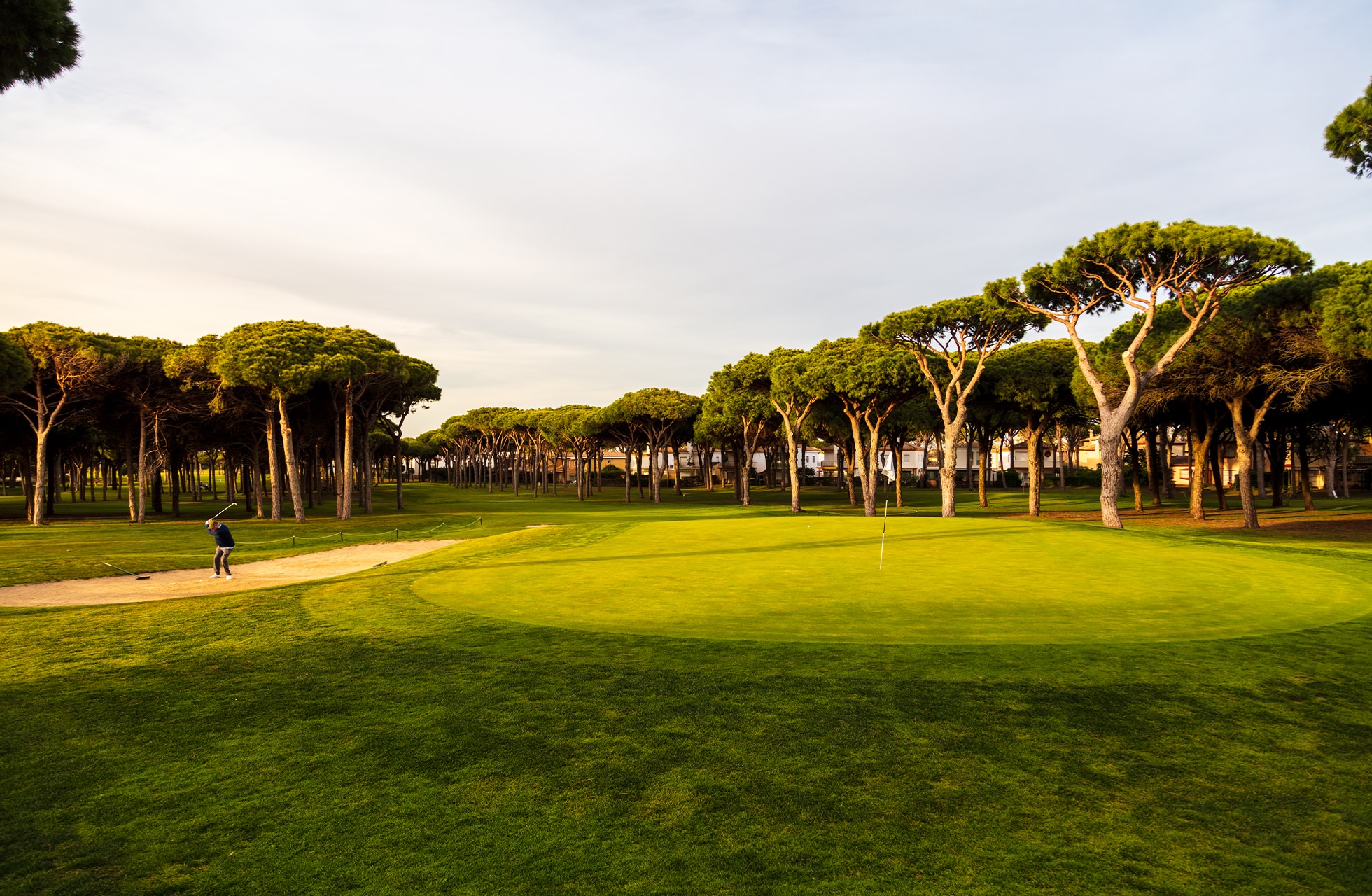 Palmer og trær langs et vannhinder med speilinger i vannet på Real Novo Sancti Petri Golf Club.
