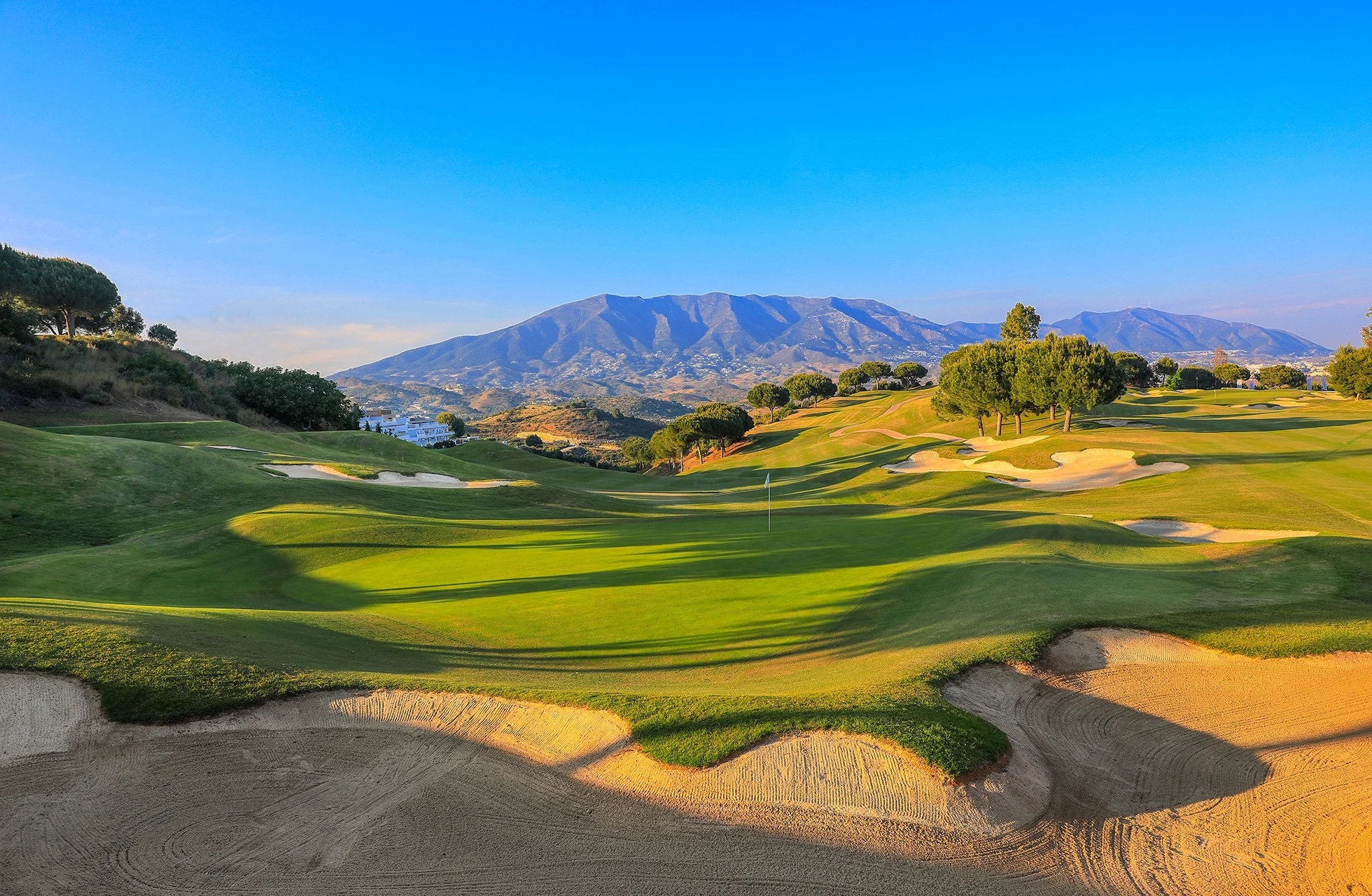 golfbane i morgenlys med fairway, bunkere og lett dis