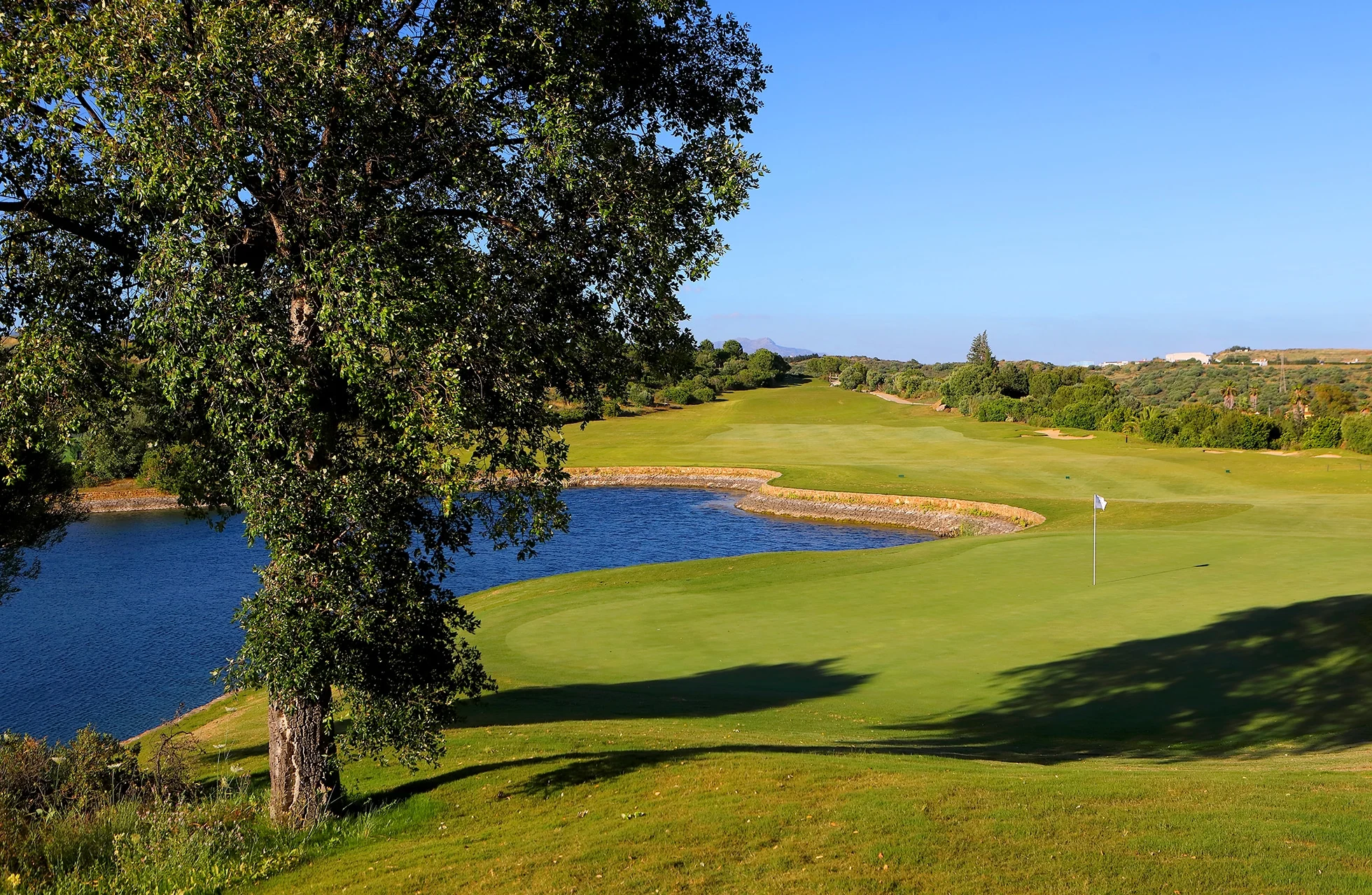 golfgreen med flagg ved vannhinder, omgitt av gressområder og trær i åpent landskap i klart dagslys