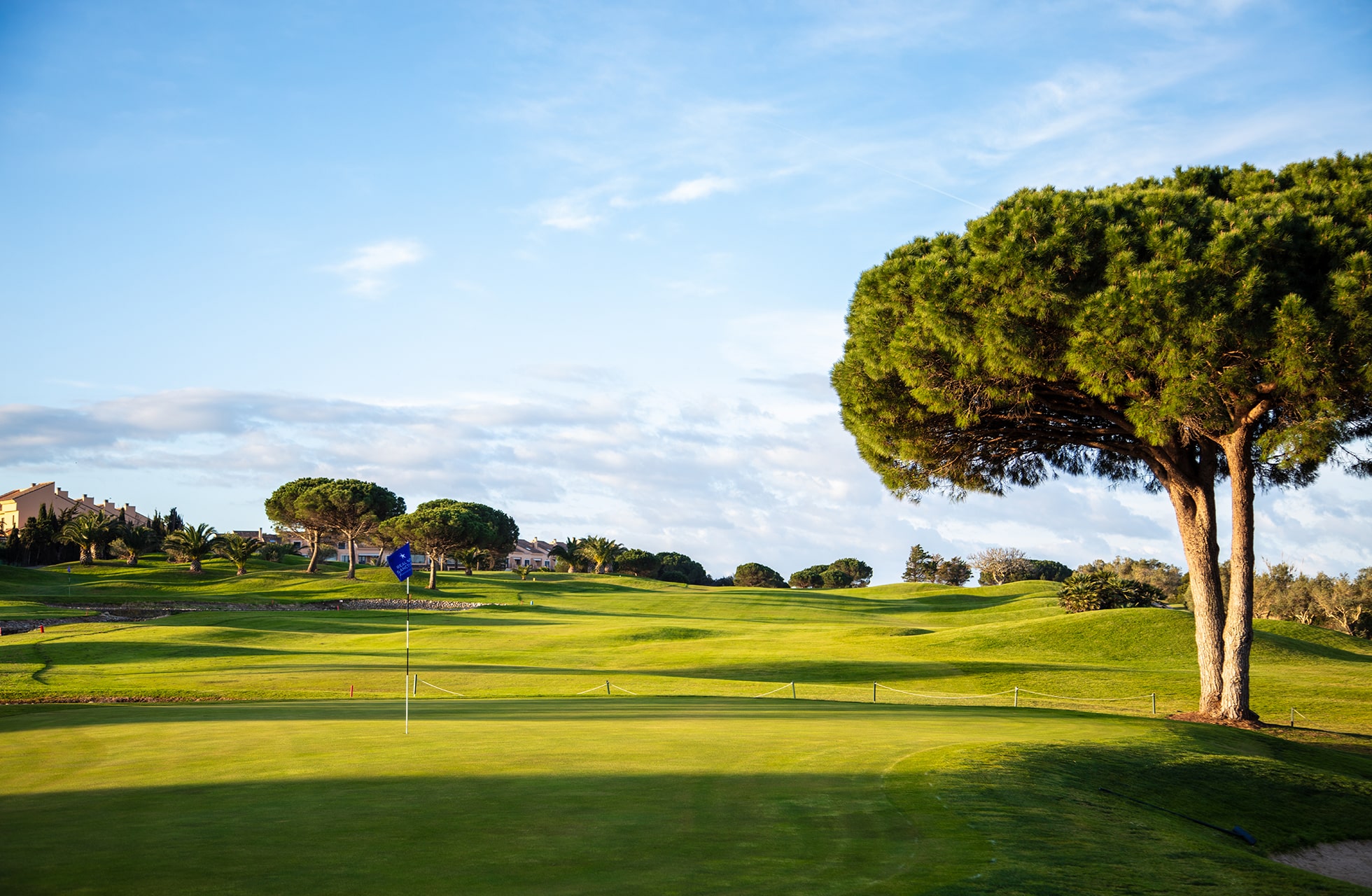velstelt golfgreen med flagg i forgrunnen, omgitt av bølgende fairwayer og karakteristiske trær under klar blå himmel