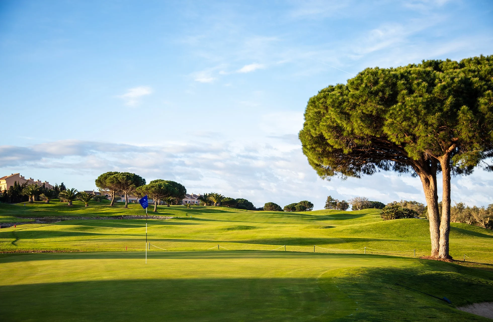 velstelt golfgreen med flagg i forgrunnen, omgitt av bølgende fairwayer og karakteristiske trær under klar blå himmel