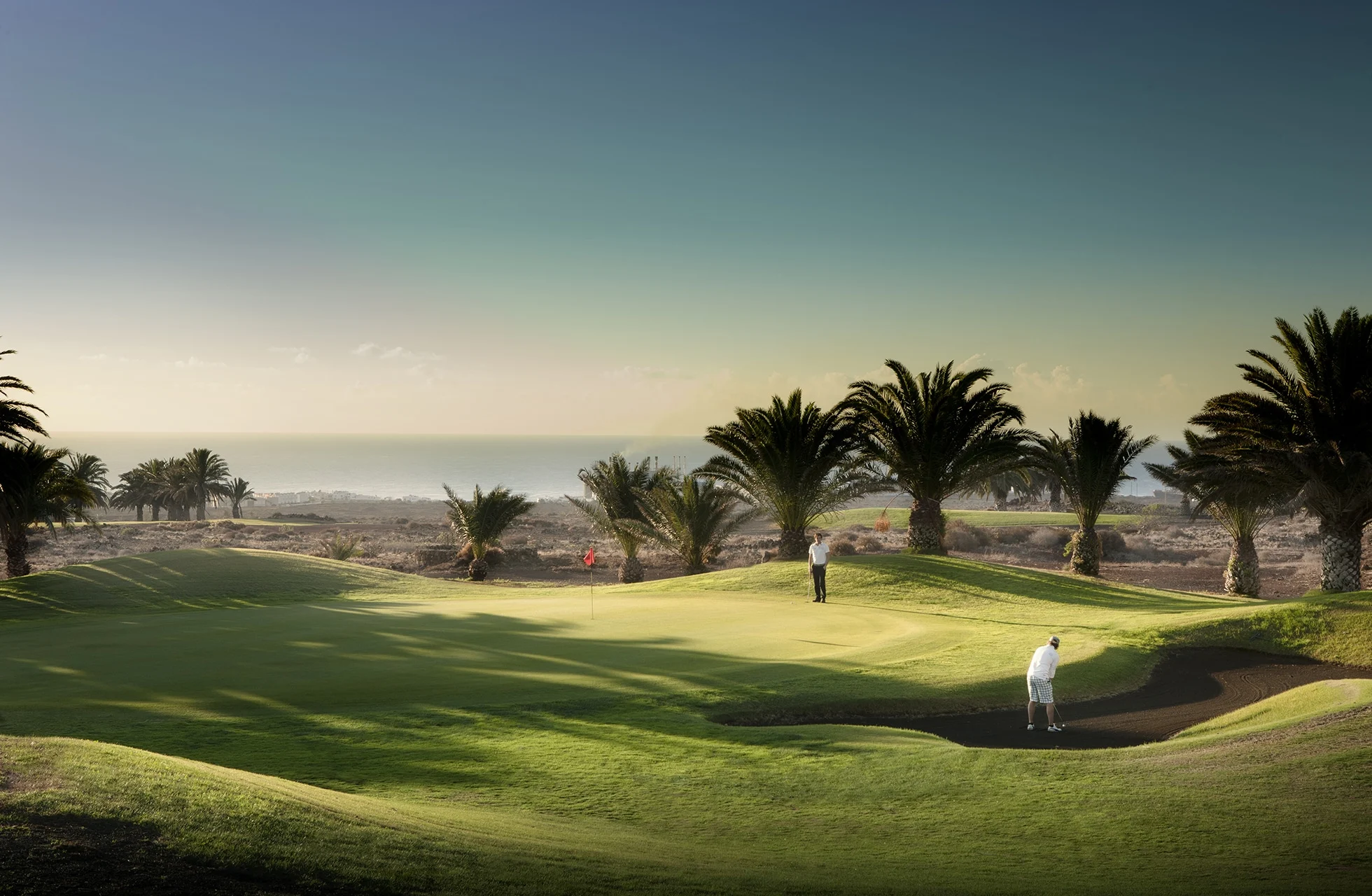 grønn golfbane med bølgende fairways, sandbunker og palmer i et åpent landskap med havet i bakgrunnen. en golfspiller er synlig på banen.